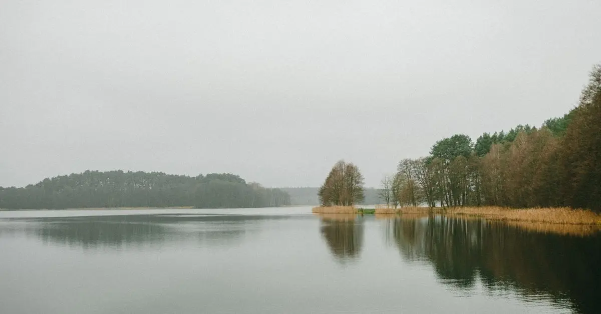 Jakie są najlepsze trasy rowerowe w Polsce?