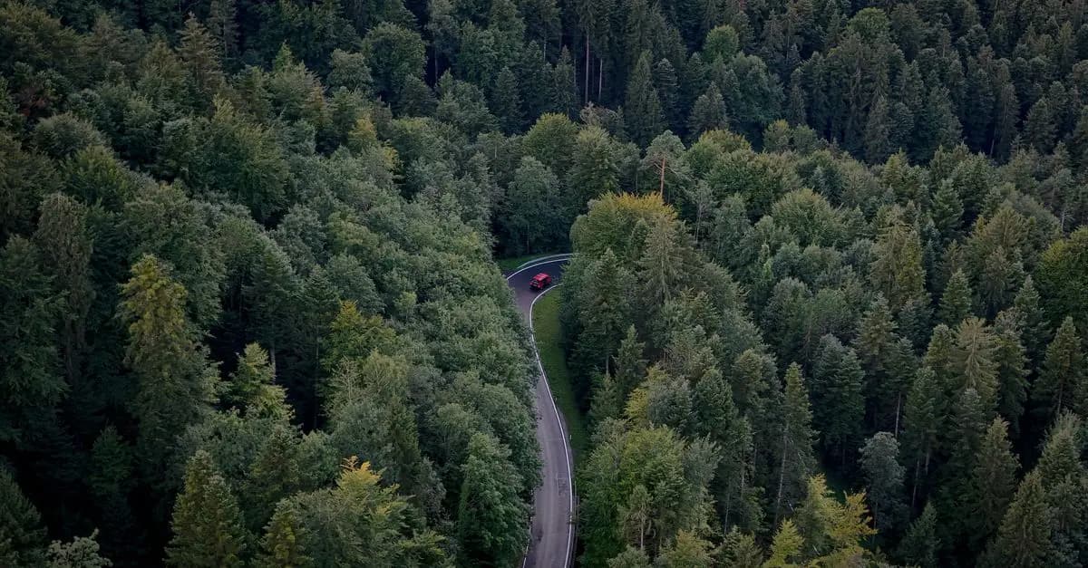 Ciekawe trasy samochodowe po Polsce: Gdzie warto się wybrać?
