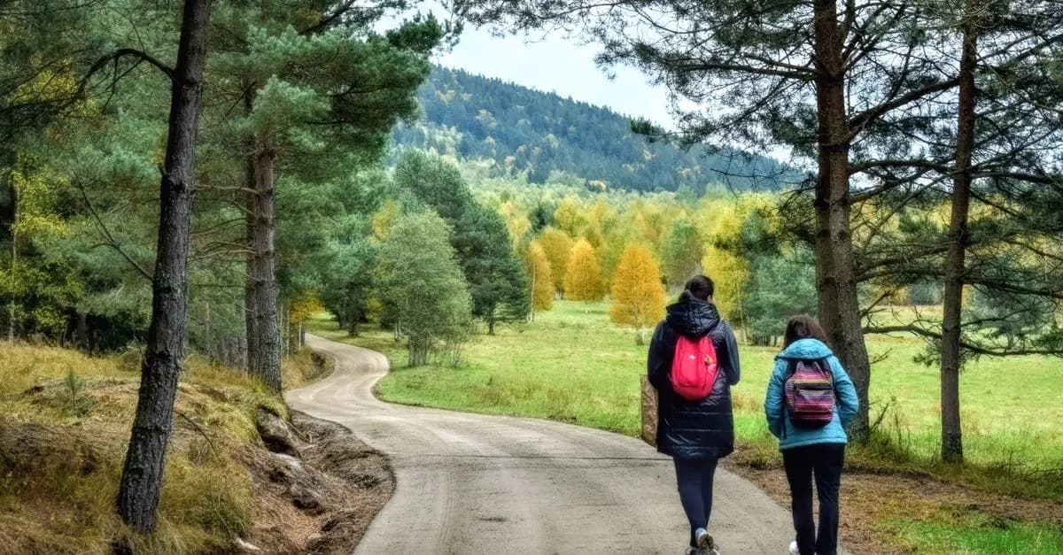 Odkryj fascynujące szlaki turystyczne w Polsce
