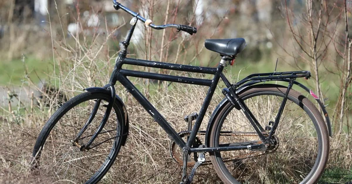 Polska na rowerze: co warto wiedzieć?