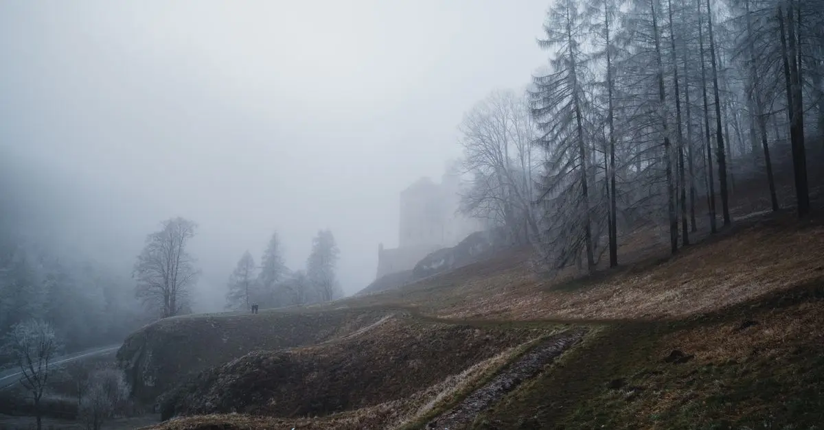 Jakie są najlepsze ukryte skarby w Polsce do odkrycia?